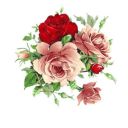 bts-and-aesthetic-pics avatar