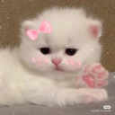 btswingsera avatar
