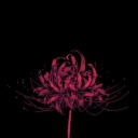 btsworldruinedmylife avatar