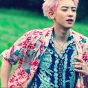 btsxexoxtrash avatar