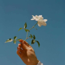 bubbl3gumcrisis avatar