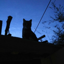 bubble-astronaut-of-cape-celest avatar