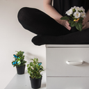 bubble-bunnie avatar