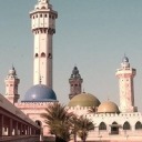 bubblegum-sim avatar