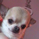 bubblegumbitchjpg avatar