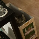 bubblegumcrystal avatar