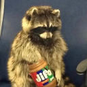 bubbleraccoon00 avatar