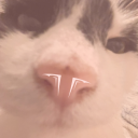 bubblergoespop avatar