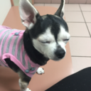 bubblesandtheburbs avatar