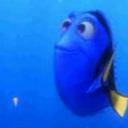 bubblesbubblesbxtxh-blog avatar