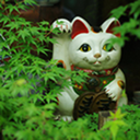 bubbless0c-archive avatar