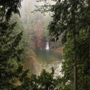 bubbleteaandbullshit avatar