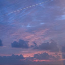 bubbleteaandgucci avatar