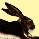 bubbleteabumblebee avatar