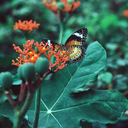 bubbleteanomilk avatar