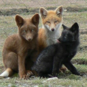 bubblewantsomeair avatar