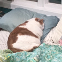 bubblex99-blog avatar