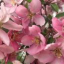 bubblywaterwitch avatar