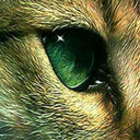 bubsastis34567 avatar