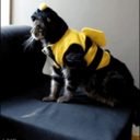 bucketfullofgifs-blog1-blog avatar