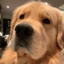 buckleydiazzsworld avatar