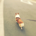 bucksbakubaku avatar