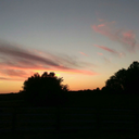 buckskinridah avatar