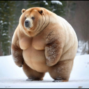 bucky-jbb-sunshine avatar