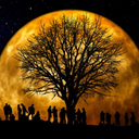 buckybarnesappreciationsociety avatar