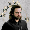 buckys-old-habits avatar