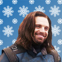 buckys-winter avatar