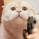 buckysbarnesbabe avatar