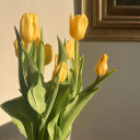 buckysprettypuppy avatar