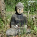 buddhabe avatar