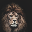 buddhainyourmirror avatar