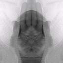 buddhartha-blog avatar