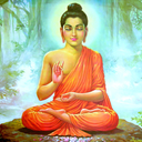 buddhasutras-blog avatar