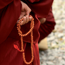 buddhist-monks avatar