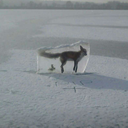 buddingalcoholic-blog avatar