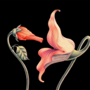 buddybutt3669 avatar