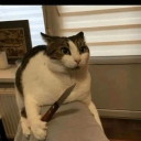 buddyluv609609 avatar