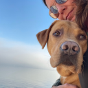 buddysjourney avatar