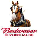 budweiserclydesdale avatar