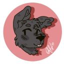 buff-fluffy-bear-boi avatar