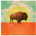 buffalomayroam avatar