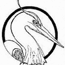 buffleheadcabin avatar