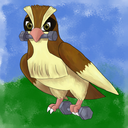 buffpidgey avatar