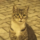 bugezegenbenimdegil avatar