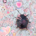 buggzzee avatar