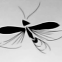 bugisafanofeverything avatar